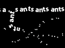 ants.gif
